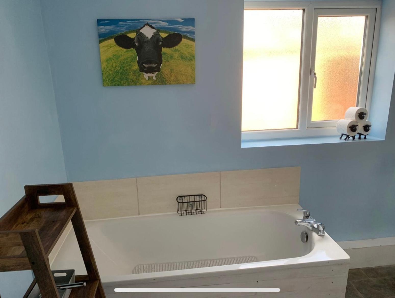 Lingfield Lodge Ewenique Views Pets Welcome Welbury Extérieur photo