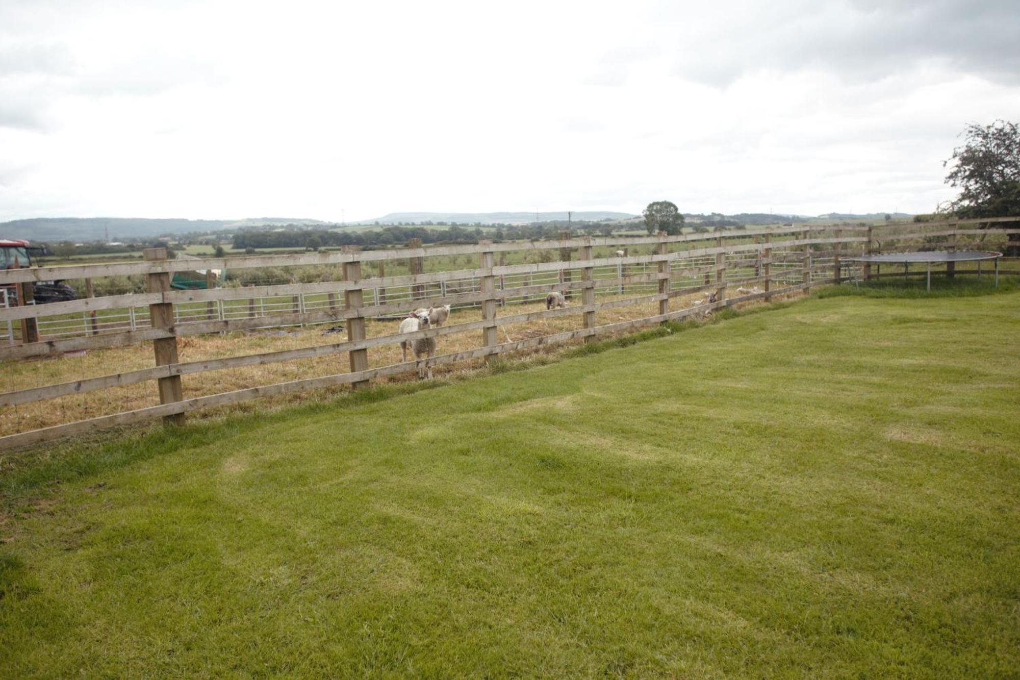 Lingfield Lodge Ewenique Views Pets Welcome Welbury Extérieur photo